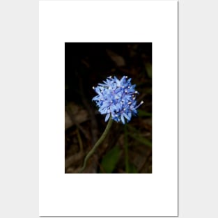 Truly Blue Pincushion Posters and Art